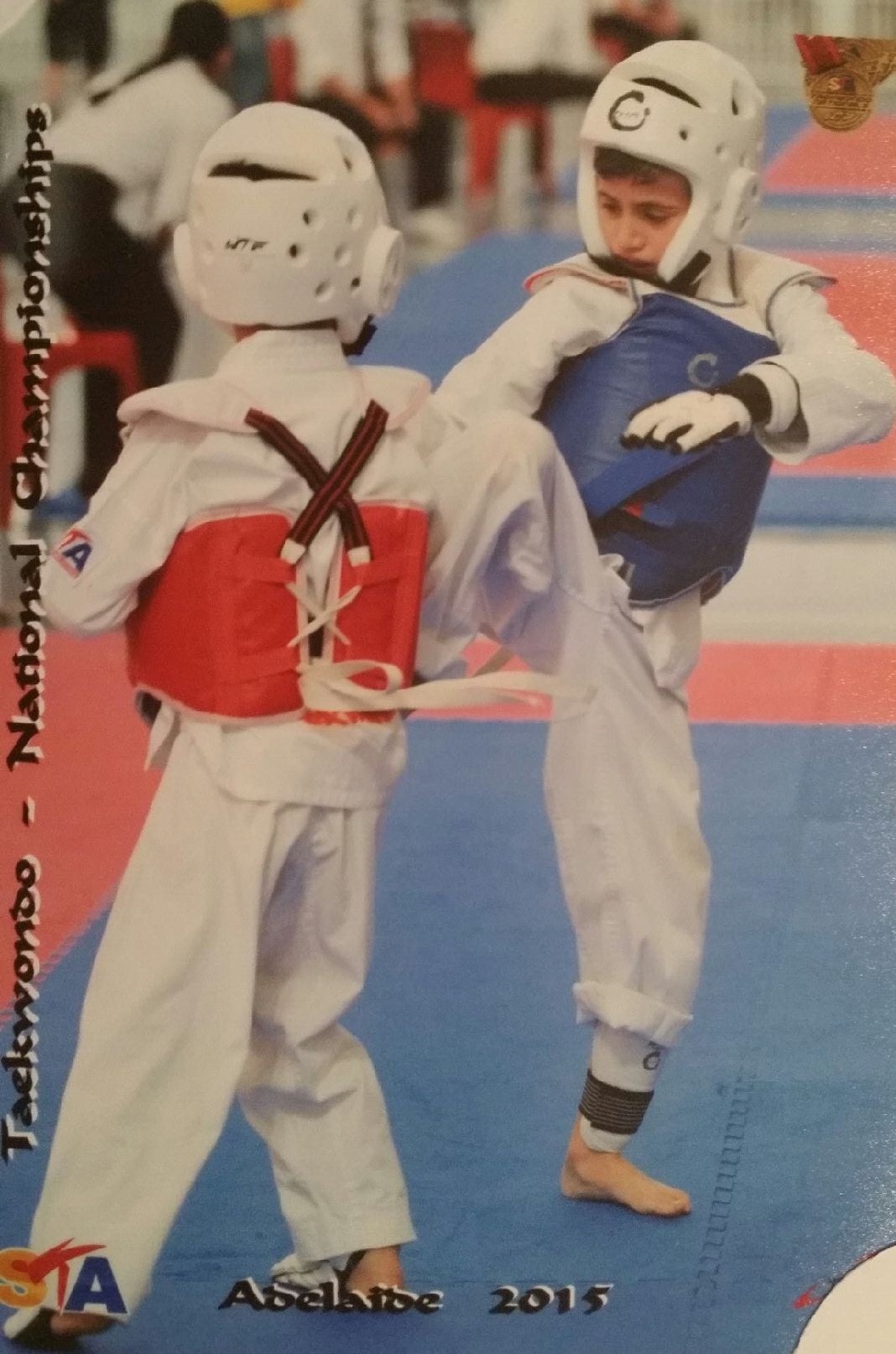 James Tarlamis- Australian Taekwondo Champion