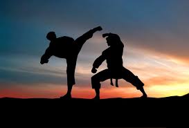 Pinnacle Martial Arts, Taekwondo, Kung Fu, Karate & Self Defence classes in Marrickville & Chester Hill Sydney