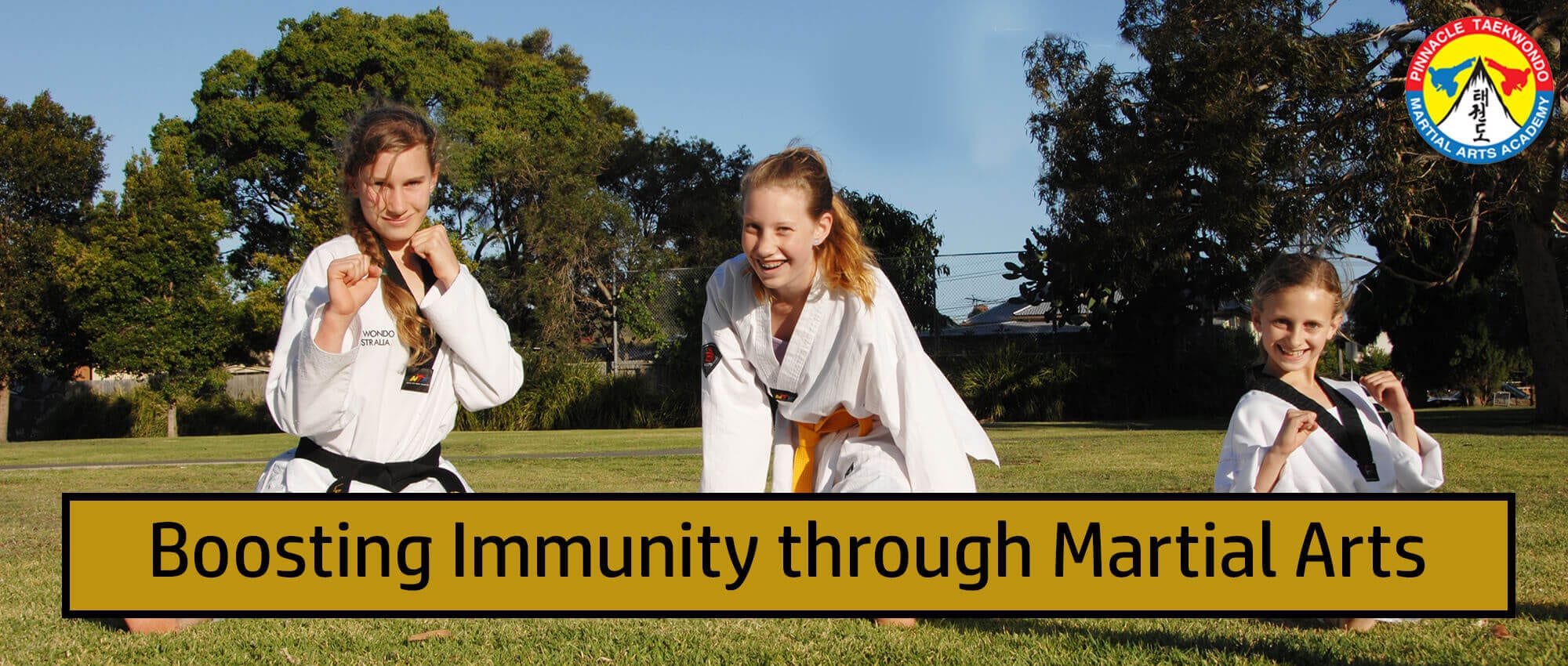Boosting-Immunity-through-Martial-arts