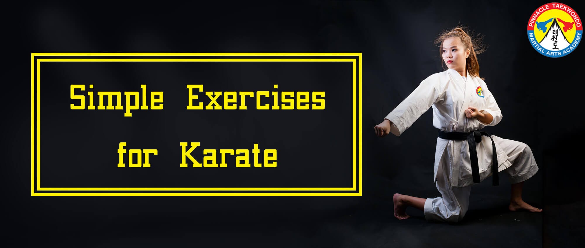 Pinnacle Martial Arts in Marrickville & Chester Hill