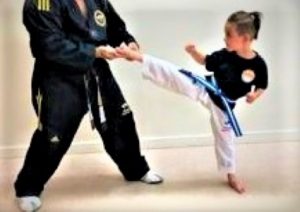 HOW TO CHOOSE THE RIGHT MARTIAL ARTS ACADEMY- Pinnacle Martial Arts in Marrickville Inner West Sydney