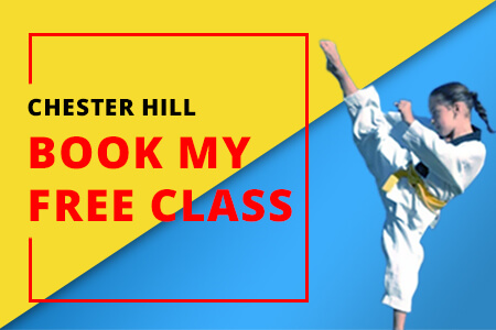 Book Free Martial Arts Classes in Chester Hill
