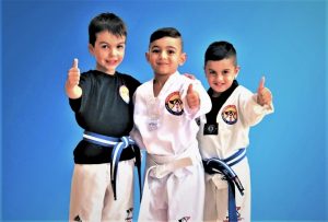 Mini Rangers-Kids Martial Arts classes in Marrickville Inner West and Chester Hill in South West Sydney