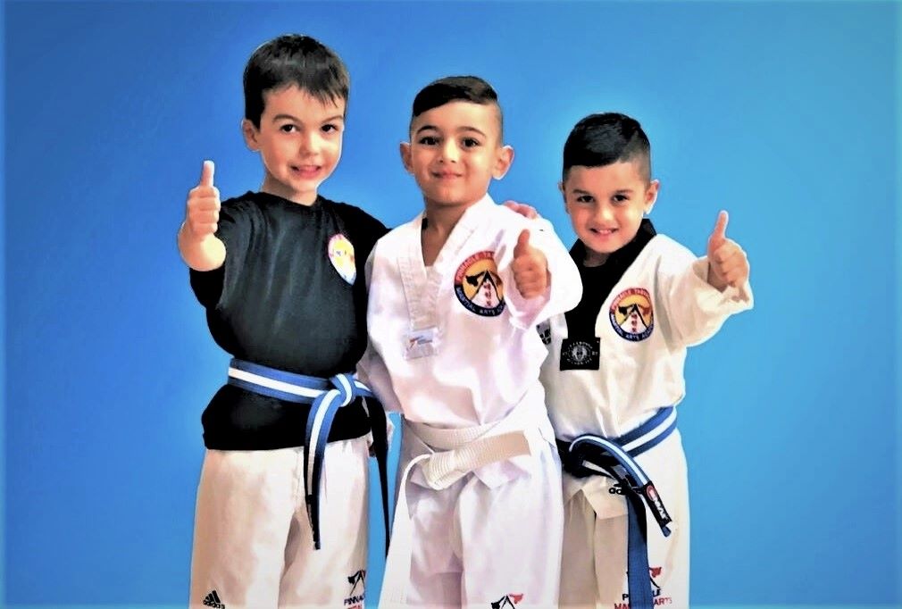 Bully Busting-Kids Martial Arts classes in Marrickville Inner West & Chester Hill South West Sydney