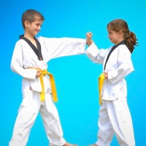 Martial Arts Self Defence in Sydney for kids teens and adults of all levels