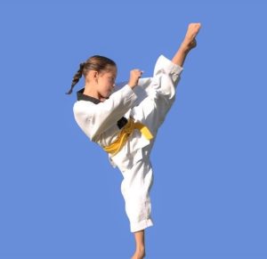 Taekwondo The Popular Martial Art at Pinnacle Martial Arts in Marrickville Inner West, Earlwood Canterbury area, Caddens in Penrith area and Chester Hill, Bankstown Area in South West Sydney