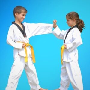 Martial Arts Self Defence benefits at Pinnacle Martial Arts in Marrickville, Earlwood, Caddens in Penrith, and Chester Hill