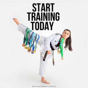 Martial arts training at Pinnacle Martial Arts Academy in Sydney – Taekwondo and Karate classes