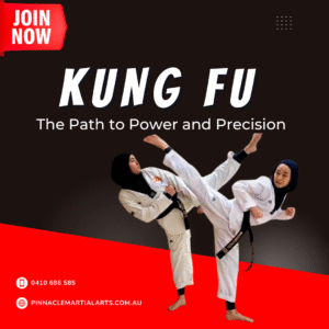 kung fu training at Pinnacle Martial Arts Academy in Sydney – Taekwondo and Karate classes