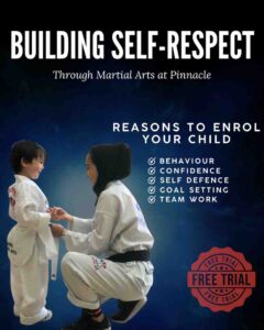 Martial arts training at Pinnacle Martial Arts Academy in Sydney – Taekwondo and Karate classes