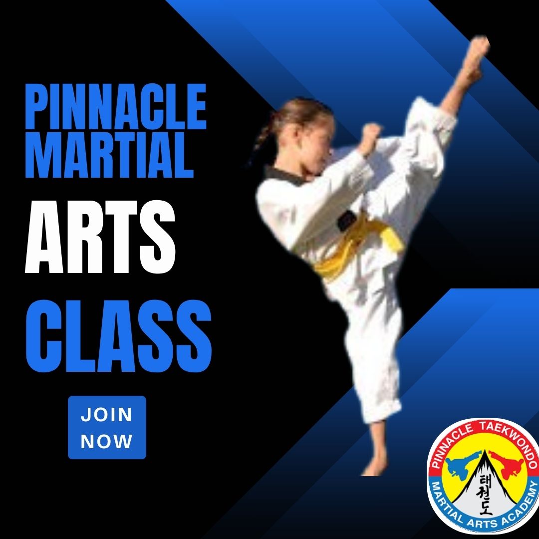 join-martial-arts-trend-in-pinnacle-martial-arts-sydeny