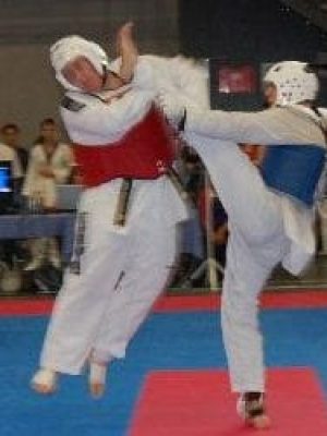 Martijin Oostendorp Taekwondo Champion and Master Instructor