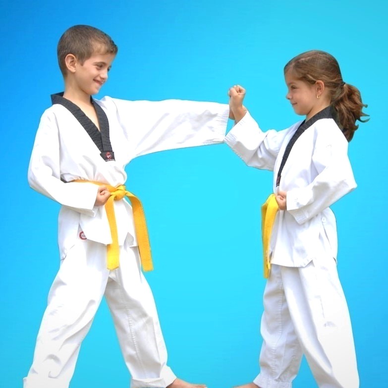 Taekwondo Classes Sydney Martial Arts Taekwondo in Marrickville Inner West Sydney for kids teens and adults