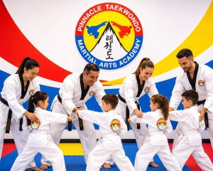 Pinnacle Taekwondo Martial Arts in Sydney , serving all suburbs in Marrickville Inner West, Canterbury Bankstown area, Chester Hill Bankstown area in South West , and Caddens in Penrith area western Sydney