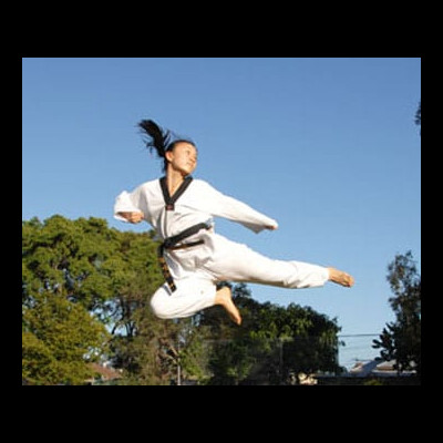 Pinnacle Martial Arts Classes in Marrickville & Chester Hill Pinnacle Martial Arts Classes in Marrickville & Chester Hill