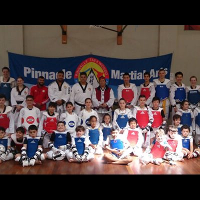 Pinnacle Martial Arts Taekwondo in Marrickville Inner West Sydney & Chester Hill Bankstown Area South West Sydney olympic taekwondo sydney