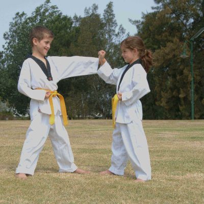 Pinnacle Martial Arts, Taekwondo, Fitness, Kung Fu, Karate & Self Defence classes in Marrickville Inner West of Sydney & Chester Hill Bankstown Area South West Sydney for Kids, Teens & Adults. Pinnacle Martial Arts, Taekwondo, Fitness, Kung Fu, Karate & Self Defence classes in Marrickville Inner West of Sydney & Chester Hill Bankstown Area South West Sydney for Kids, Teens & Adults.