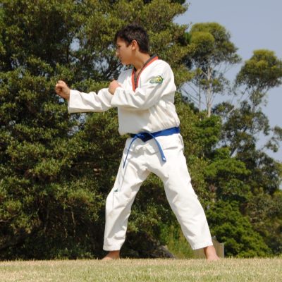 Kids Kung Fu influenced Martial Arts in Marrickville Inner West Sydney Kids Kung Fu in Marrickville Inner West Sydney