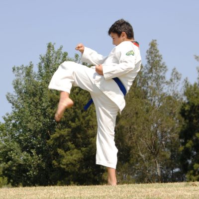 Kids Martial Arts in Marrickville Inner West & Chester Hill South West Sydney Kids Martial Arts in Marrickville Inner West & Chester Hill South West Sydney