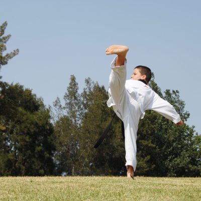 Kids Martial Arts in Marrickville Inner West & Chester Hill South West Sydney a combination of Karate, Taekwondo, Kung Fu, Hapkido + Martial Arts Self Defence. Kids Martial Arts Marrickville Inner West & Chester Hill South West Sydney
