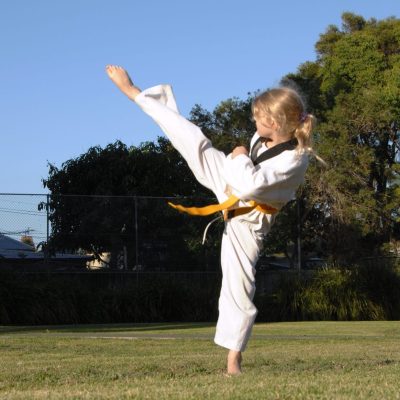 Kids Kung Fu influenced Martial Arts in Chester Hill South West Sydney for all levels Kids Kung Fu in Chester Hill South West Sydney