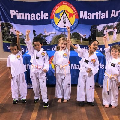 Children Martial Arts in Marrickville for kids of all ages and levels. Children Martial Arts Marrickville