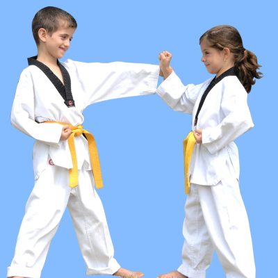 Kids Martial Arts Marrickville-Pinnacle kids Martial Arts in Marrickville for kids & teens of all ages and levels Kids Martial Arts Marrickville