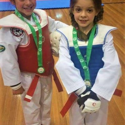 Pinnacle Kids Martial Arts a mix of Taekwondo+Karate in Marrickville Kids Taekwondo+Karate in Marrickville