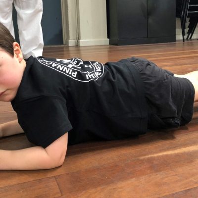 Pinnacle Martial Arts Martial Arts Chester Hill, Pinnacle Martial Arts in Bass Hill for kids, teens and adults Martial Arts Chester Hill-Bass Hill