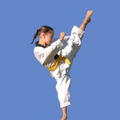 Martial Arts in Earlwood, Pinnacle Martial Arts in Earlwood for kids, teens + adults Martial Arts Earlwood