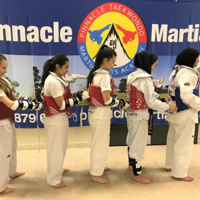 Martial Arts in Enmore for kids, teens and adults-Pinnacle Martial Arts in Enmore for kids, and adults of all ages and levels. Martial Arts in Enmore for kids, teens and adults