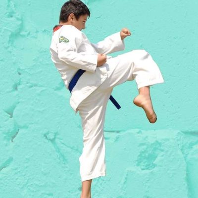Martial Arts in Petersham for kids teens and adults Martial Arts in Petersham