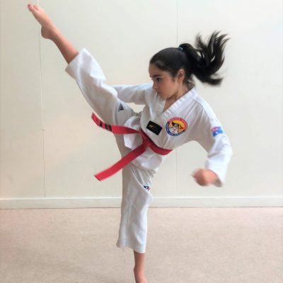 Pinnacle Karate in Chester Hill South West Sydney for kids, teens and adults Pinnacle Karate in Chester Hill South West Sydney
