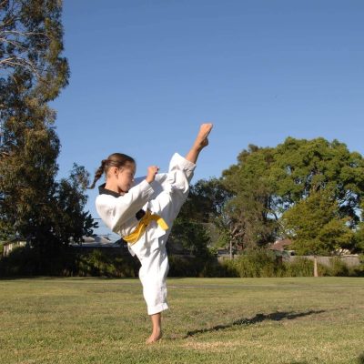 Pinnacle Martial Arts & Karate in Chester Hill Bankstown Area and Marrickville Inner West Sydney Pinnacle Martial Arts Marrickville Chester Hill Sydney