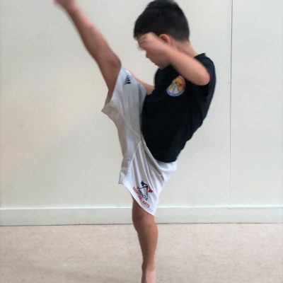 Pinnacle Martial Arts in Marrickville Inner West Sydney & Chester Hill in South West Sydney for kids, teens and adults Pinnacle Martial Arts in Marrickville Inner West Sydney & Chester Hill in South West Sydney