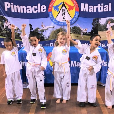 Pinnacle Martial Arts in Marrickville Inner West Sydney and Chester Hill, Bankstown Region in South West Sydney for kids, teens + adults. Pinnacle Martial Arts in Marrickville & Chester Hill Sydney