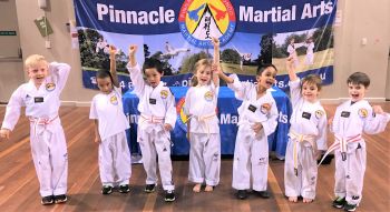 Pinnacle Martial Arts in Marrickville & Chester Hill Sydney