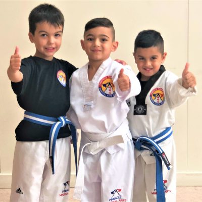 Pinnacle kids Martial Arts in Marrickville Inner West + Chester Hill in South West Sydney for all ages and levels Pinnacle kids Martial Arts in Marrickville Inner West + Chester Hill in South West Sydney