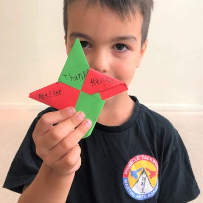 Pinnacle top Martial Arts in Marrickville for kids, teens and adults- Pinnacle Martial Arts is a proven combination of Taekwondo, Martial Arts Self Defence methods, Kung Fu, Boxing, Kickboxing and Karate Kids Martial Arts in Marrickville