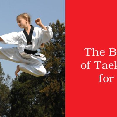 Pinnacle Kung Fu influenced Martial Arts in Marrickville and Chester Hill Sydney Kung Fu in Marrickville and Chester Hill Sydney