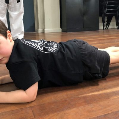 Martial Arts in Sydney, Pinnacle Martial Arts in Marrickville + Chester Hill for kids physical development Martial Arts Sydney for kids and adults